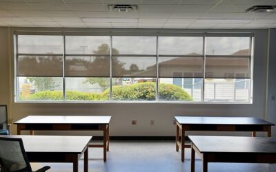 Enhance Your Business Environment with Custom Window Shades